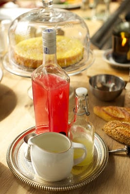 You are currently viewing Rhubarb Fizz Cocktail Recipe