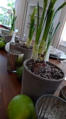 Read more about the article Thai New Year