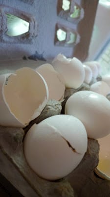 Read more about the article Gifts of Spring Keep On Giving