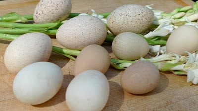 Read more about the article Thank you nature…