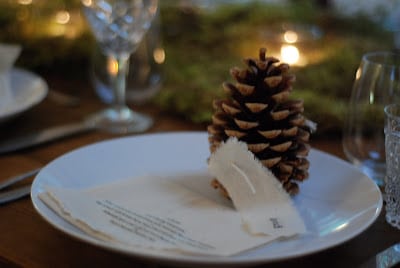 Read more about the article A Mossy Affair