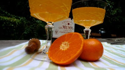 You are currently viewing Freshly Squeezed