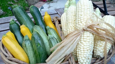 Read more about the article I’ll bring a side…