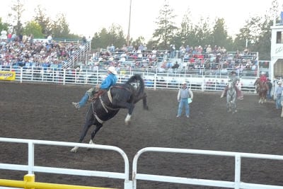 Read more about the article Cowgirls and Cowboys