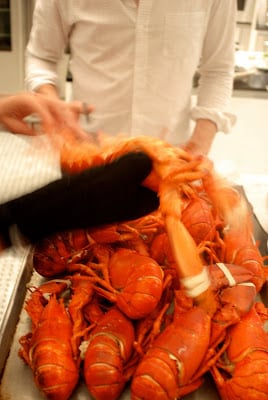 Read more about the article Lobster II