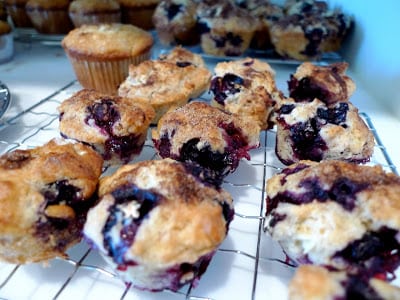 You are currently viewing Getting to be the Guest