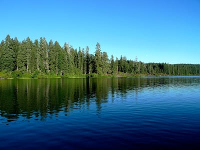 Read more about the article Lake to Table II