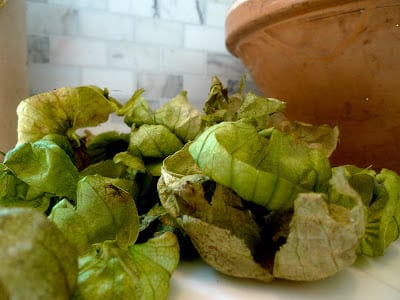 Read more about the article Labor Day Weekend: A Lesson in Labor