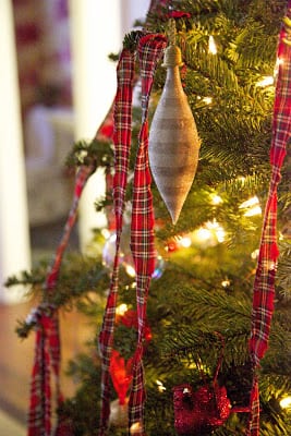 Read more about the article Oh Christmas Tree, Oh Christmas Tree