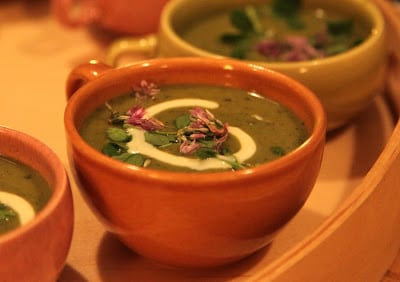 Read more about the article I love spring anywhere, but if I could choose…