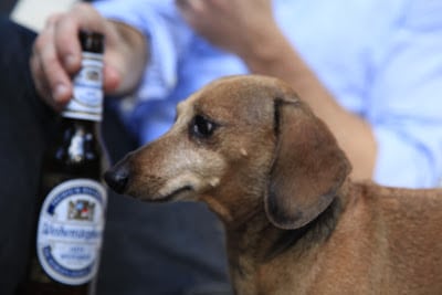 Read more about the article Oktoberfest for George