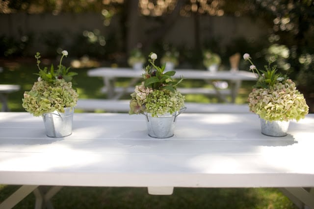 Read more about the article Sip & See Picnic