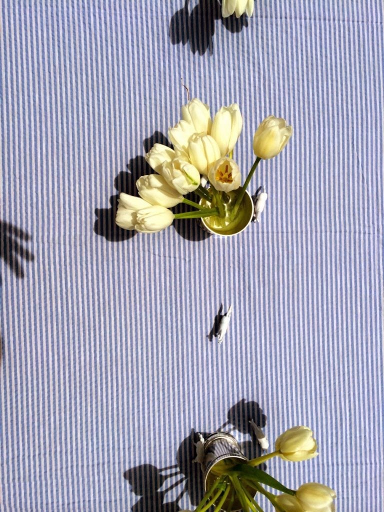 Read more about the article Teddy’s Sip and See: Derby Day